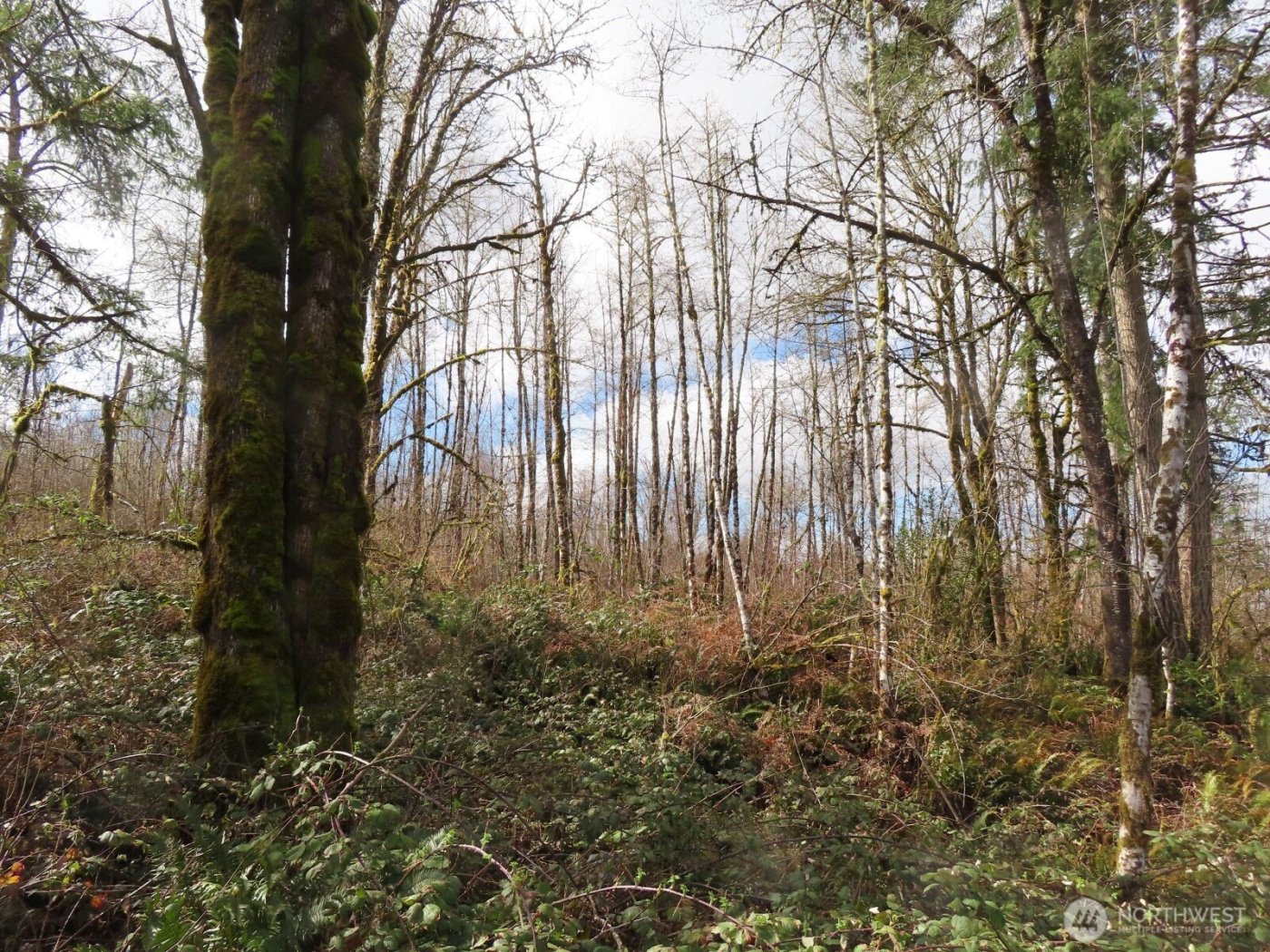 125 Oppelt Road , Chehalis, WA 98532