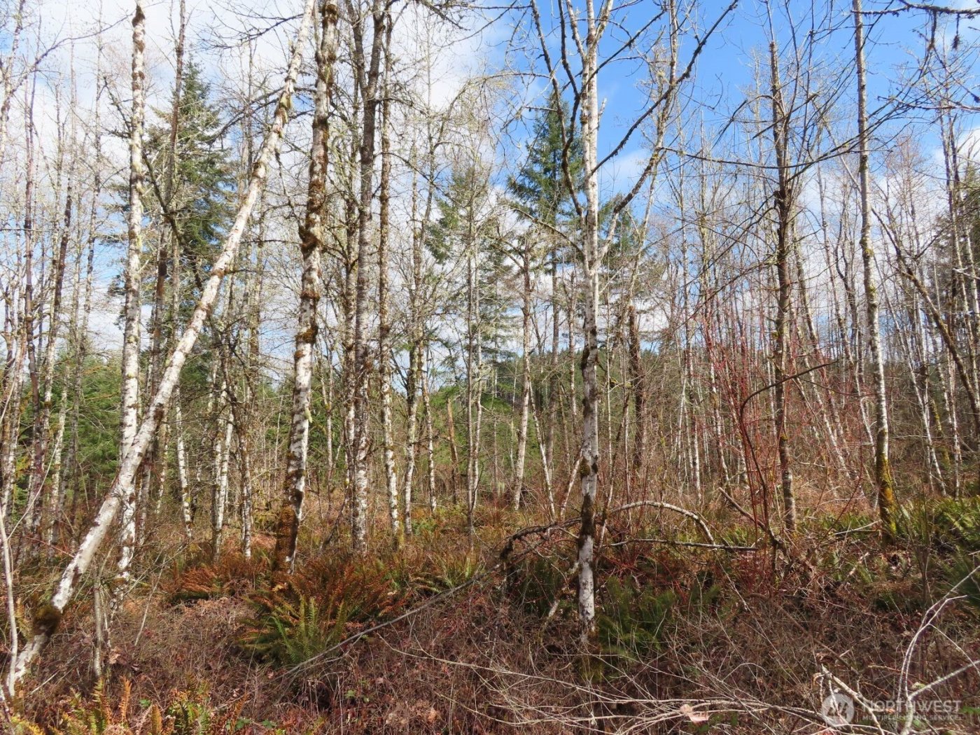 125 Oppelt Road , Chehalis, WA 98532