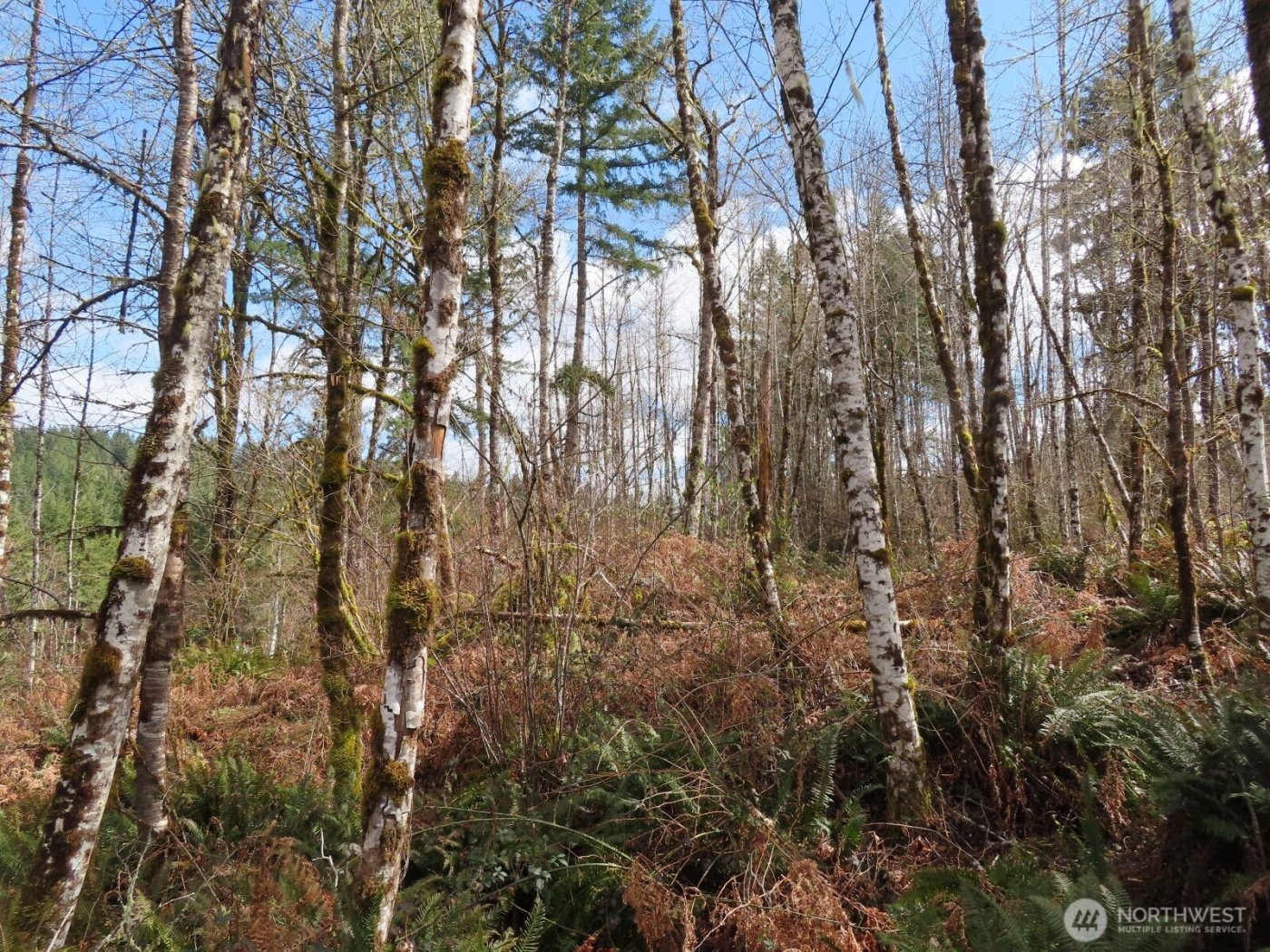 125 Oppelt Road , Chehalis, WA 98532