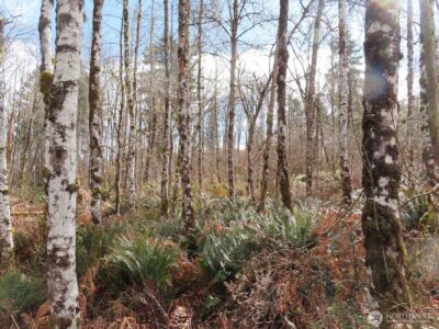 125 Oppelt Road , Chehalis, WA 98532 - Photo 8