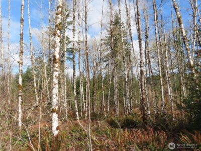 125 Oppelt Road , Chehalis, WA 98532 - Photo 9