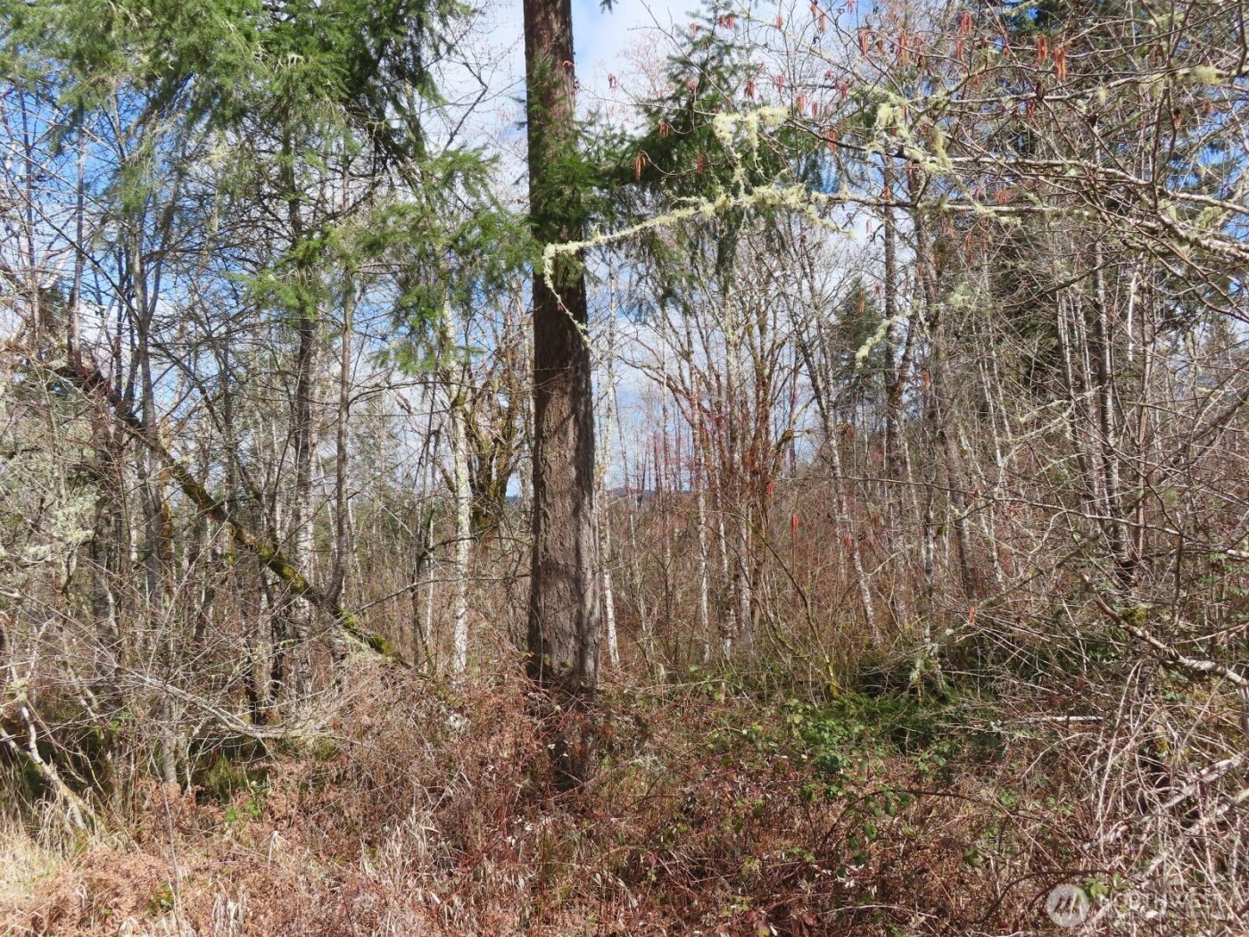 125 Oppelt Road , Chehalis, WA 98532