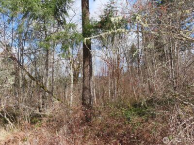 125 Oppelt Road , Chehalis, WA 98532 - Photo 10