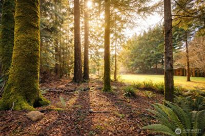 931 Turkey Road NW, Olympia, WA 98502 - Photo 35