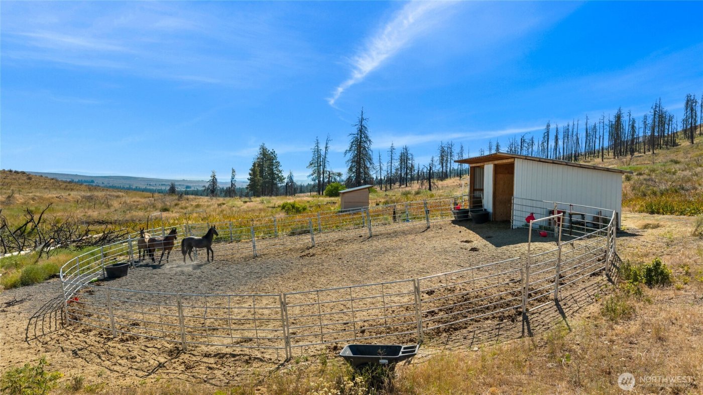 26200 N Wenas Road , Ellensburg, WA 98942