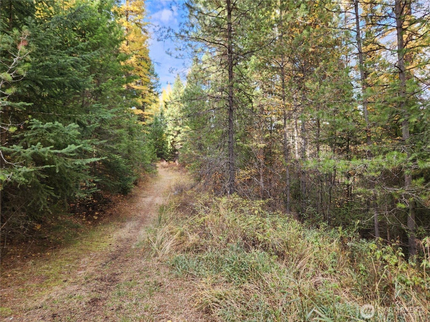 30822 E Highway 20 , Republic, WA 99166