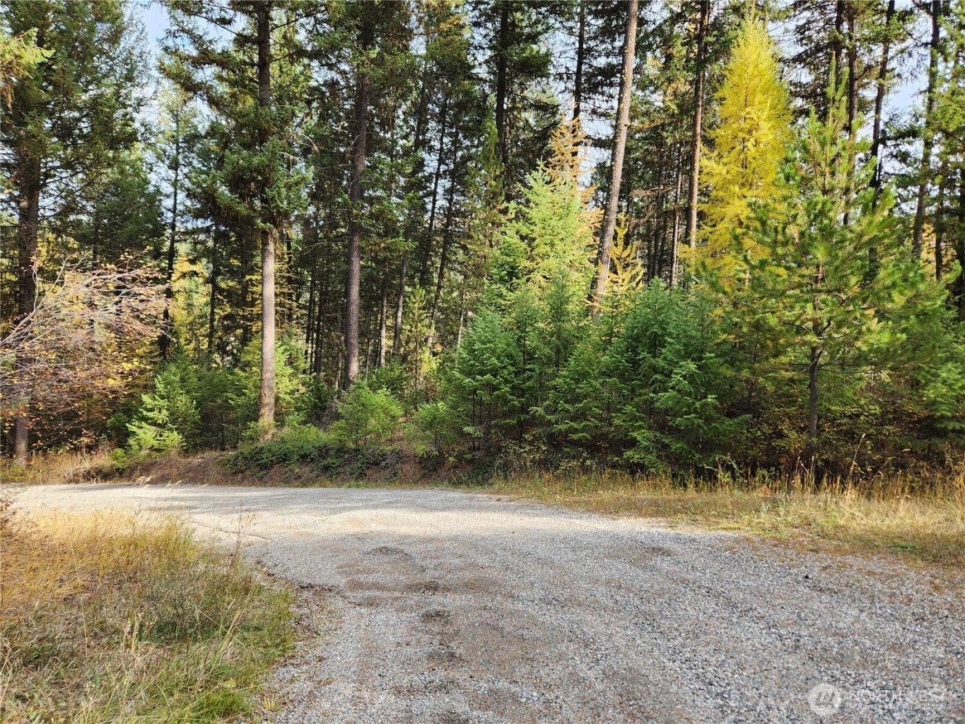 30822 E Highway 20 , Republic, WA 99166
