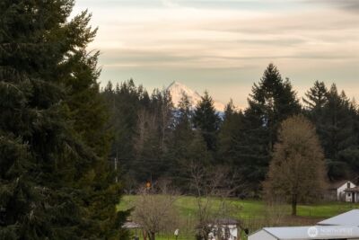 37201 NW 29th Avenue , La Center, WA 98629 - Photo 39