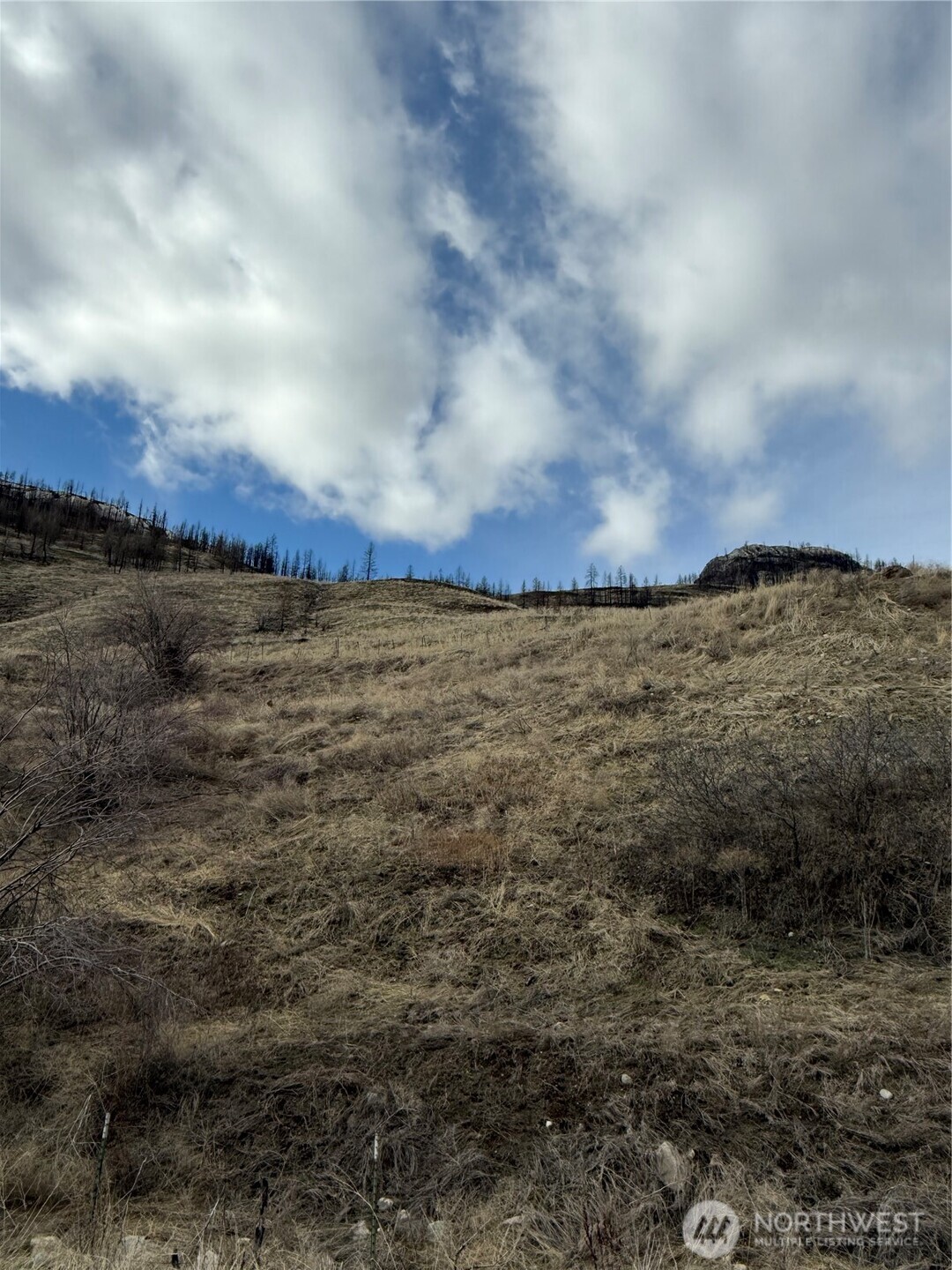 28 Eagles Bluff Road , Oroville, WA 98844