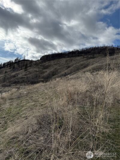 28 Eagles Bluff Road , Oroville, WA 98844 - Photo 4