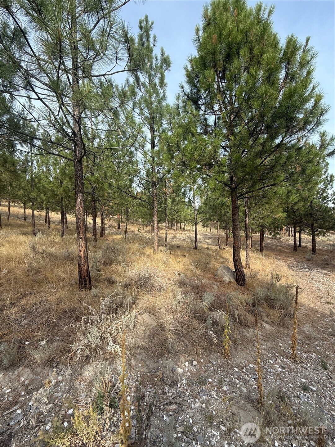 67 W Bannon Creek Road , Tonasket, WA 98855