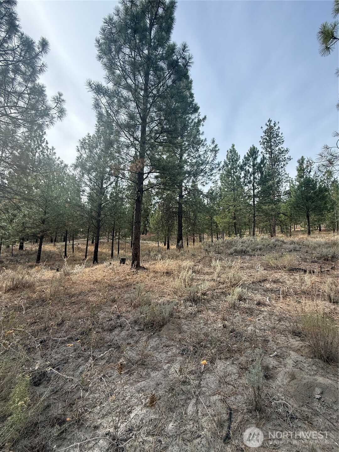 67 W Bannon Creek Road , Tonasket, WA 98855