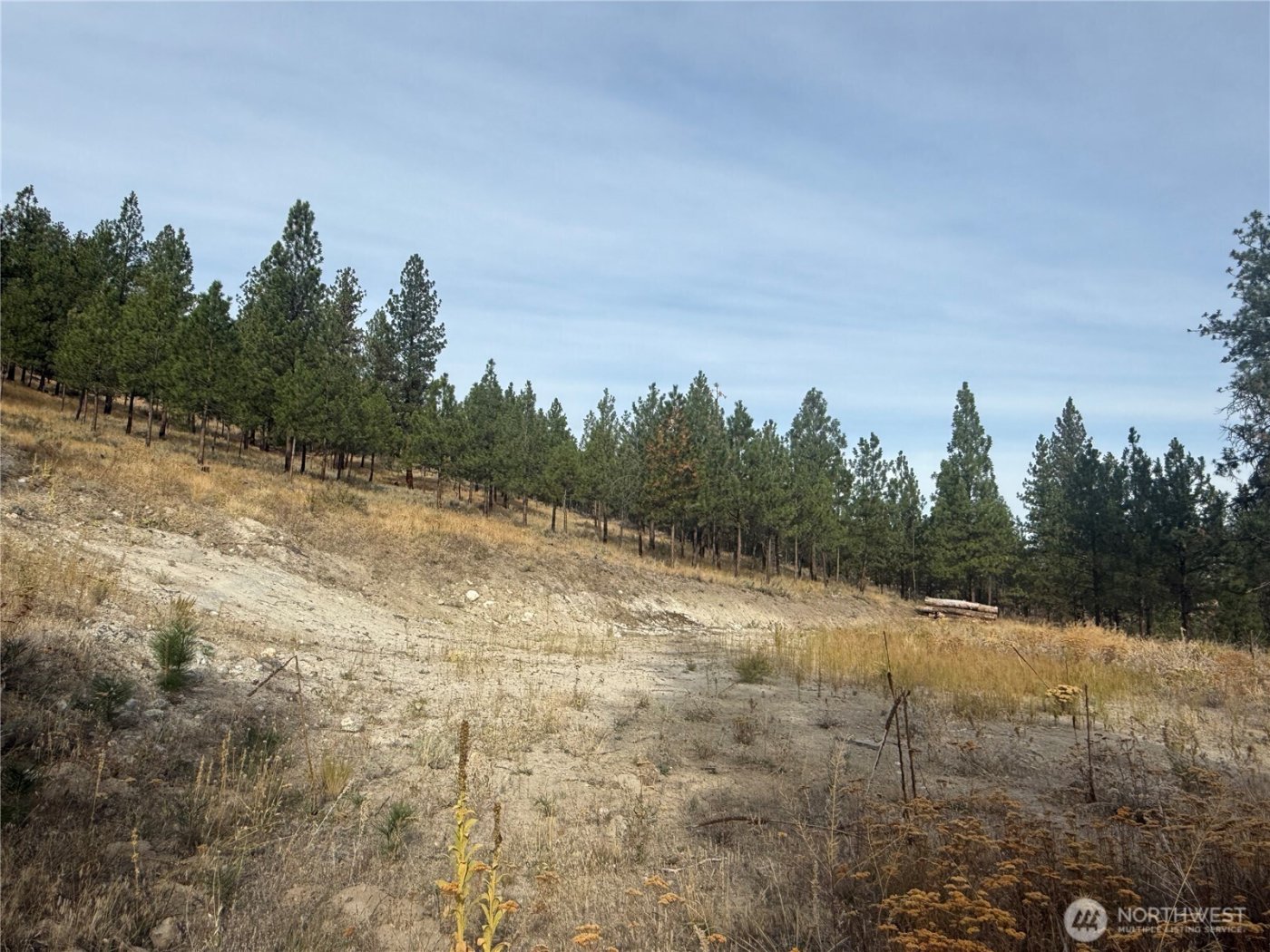 67 W Bannon Creek Road , Tonasket, WA 98855