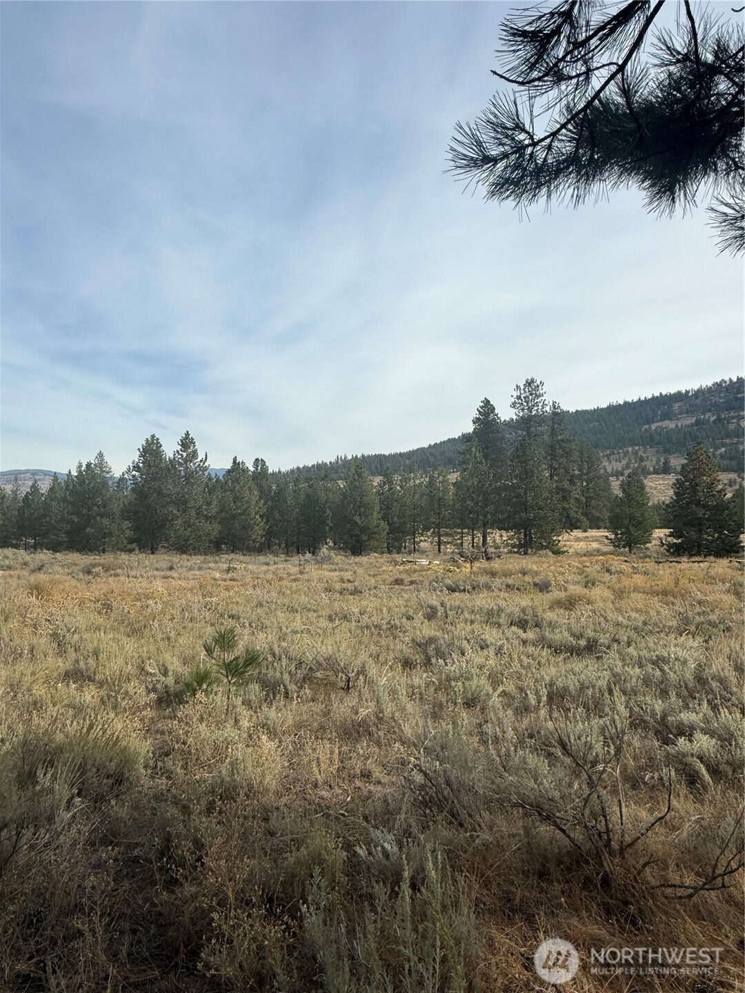 67 W Bannon Creek Road , Tonasket, WA 98855