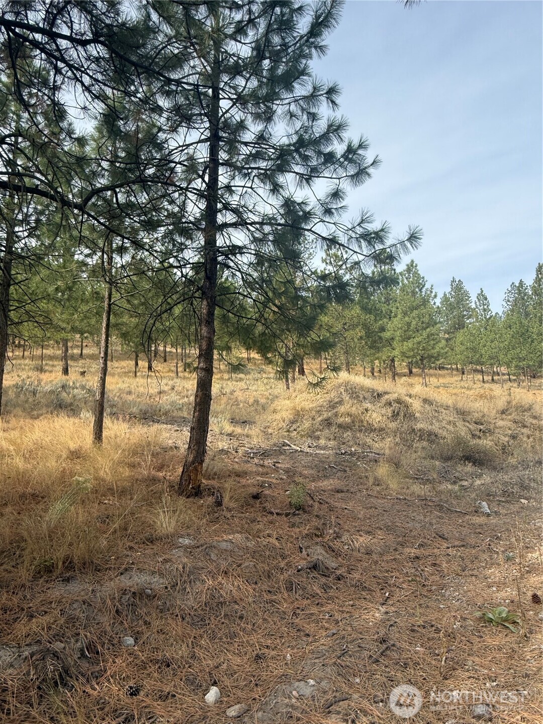 67 W Bannon Creek Road , Tonasket, WA 98855