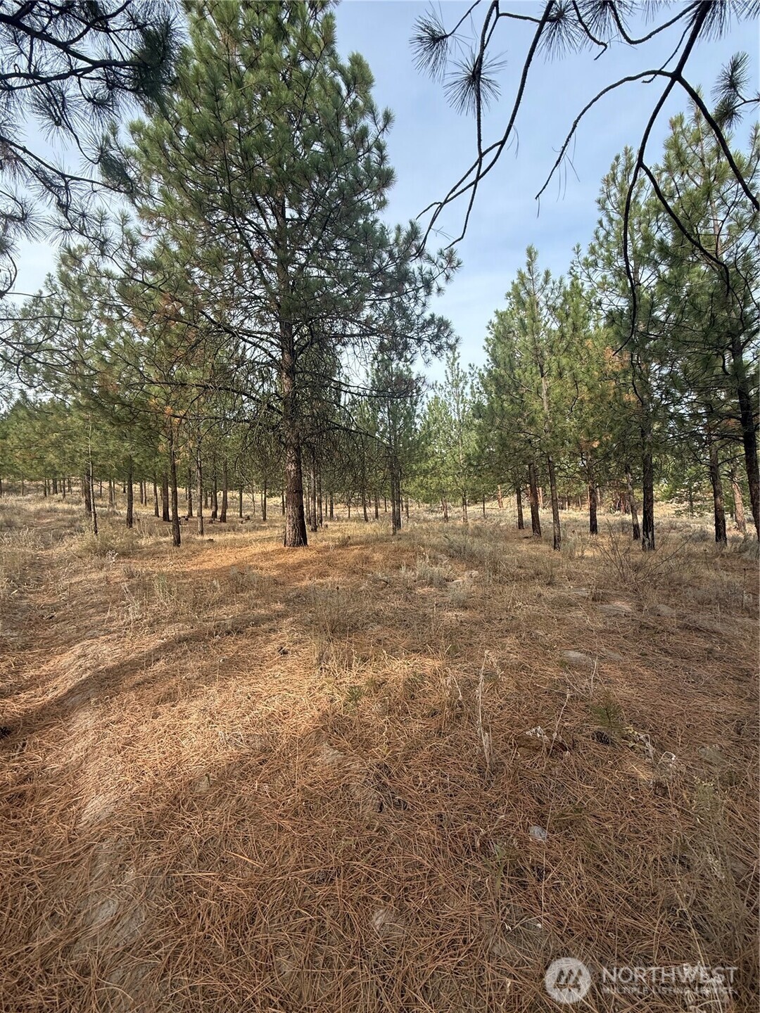 67 W Bannon Creek Road , Tonasket, WA 98855