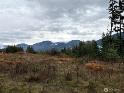 2 XX Forest Road 52 , Packwood, WA 98361