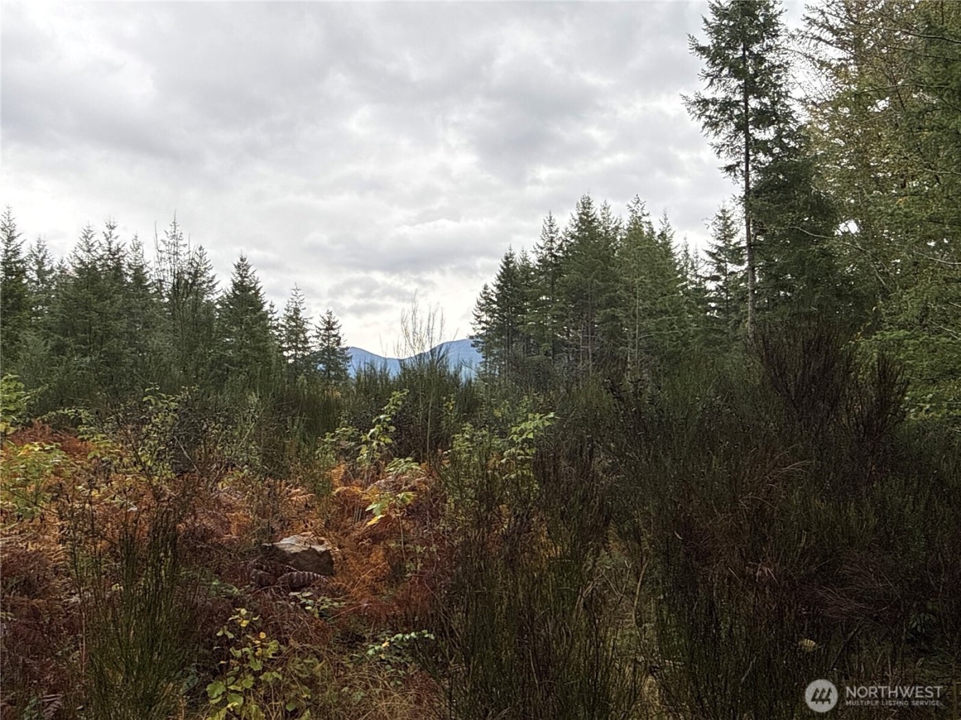 2 XX Forest Road 52 , Packwood, WA 98361