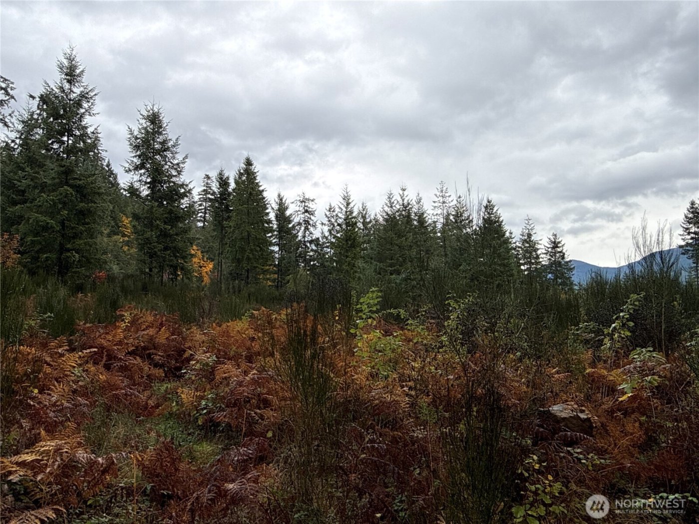 2 XX Forest Road 52 , Packwood, WA 98361