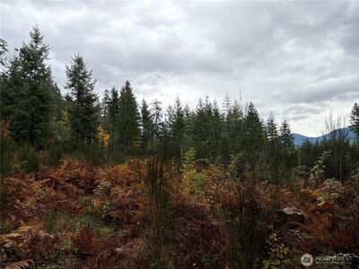 2 XX Forest Road 52 , Packwood, WA 98361 - Photo 12