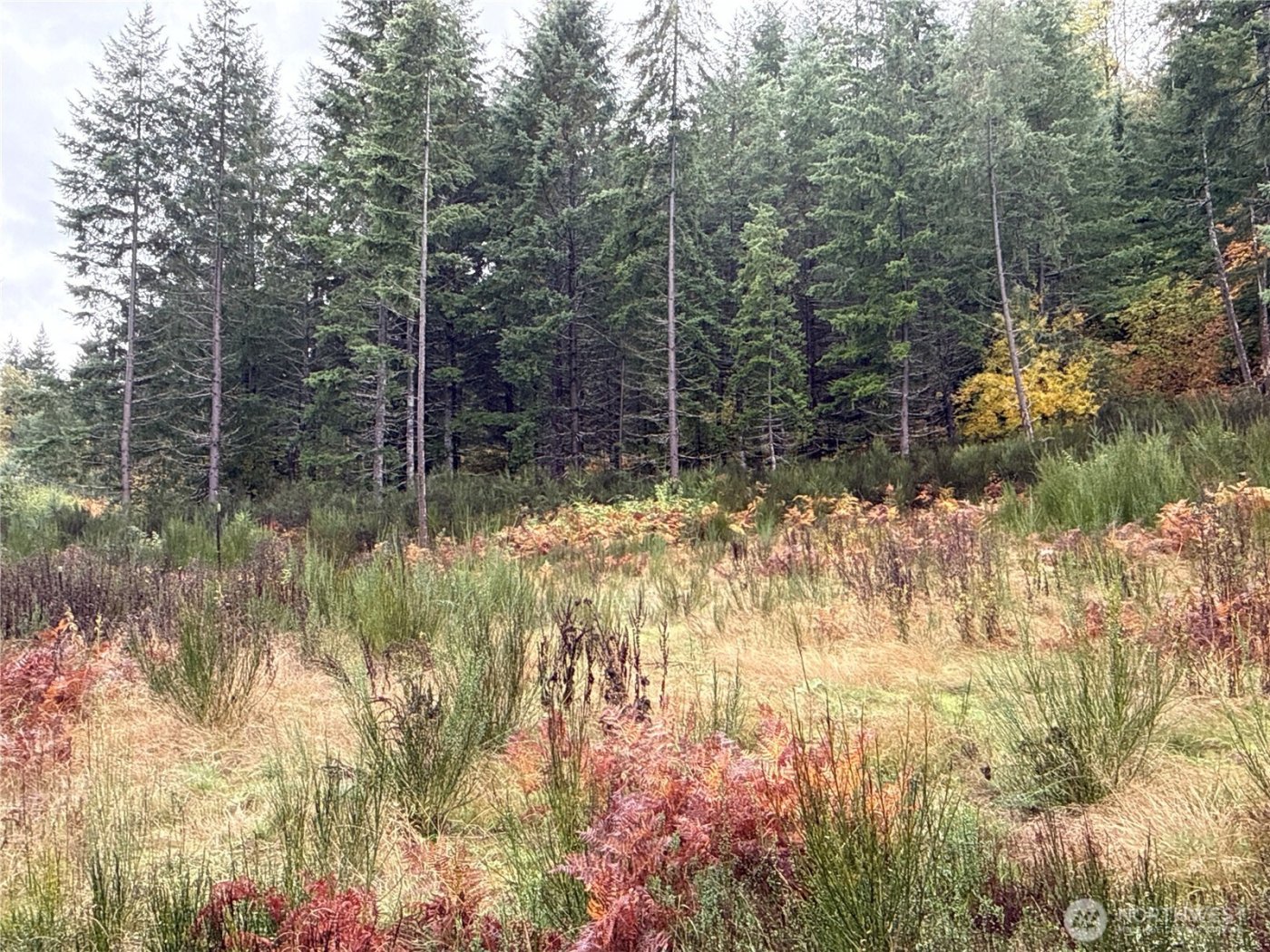 2 XX Forest Road 52 , Packwood, WA 98361