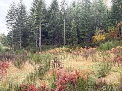 2 XX Forest Road 52 , Packwood, WA 98361 - Photo 13