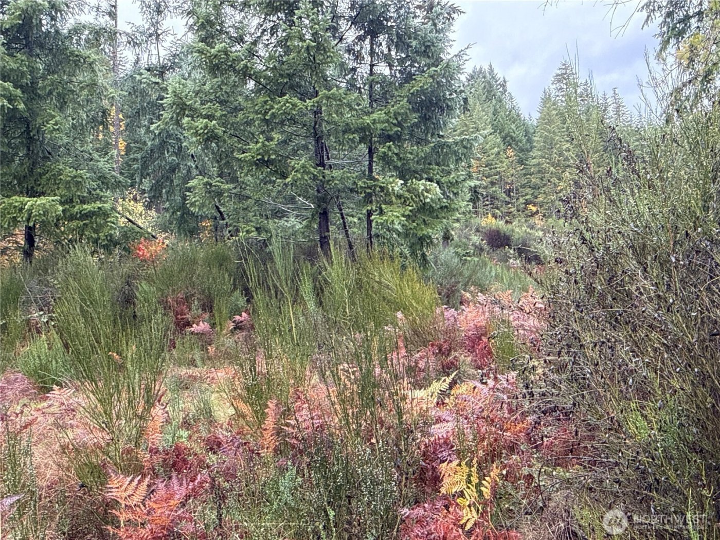 2 XX Forest Road 52 , Packwood, WA 98361