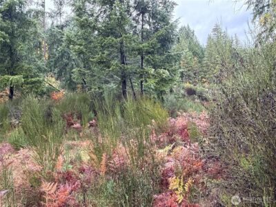 2 XX Forest Road 52 , Packwood, WA 98361 - Photo 14