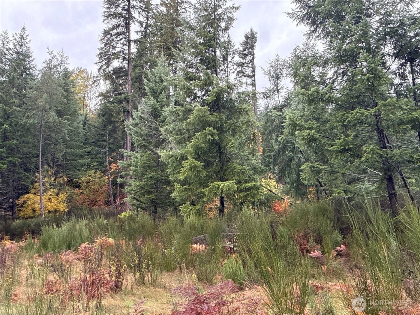 2 XX Forest Road 52 , Packwood, WA 98361