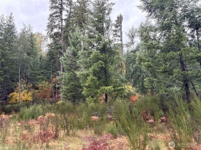 2 XX Forest Road 52 , Packwood, WA 98361 - Photo 15