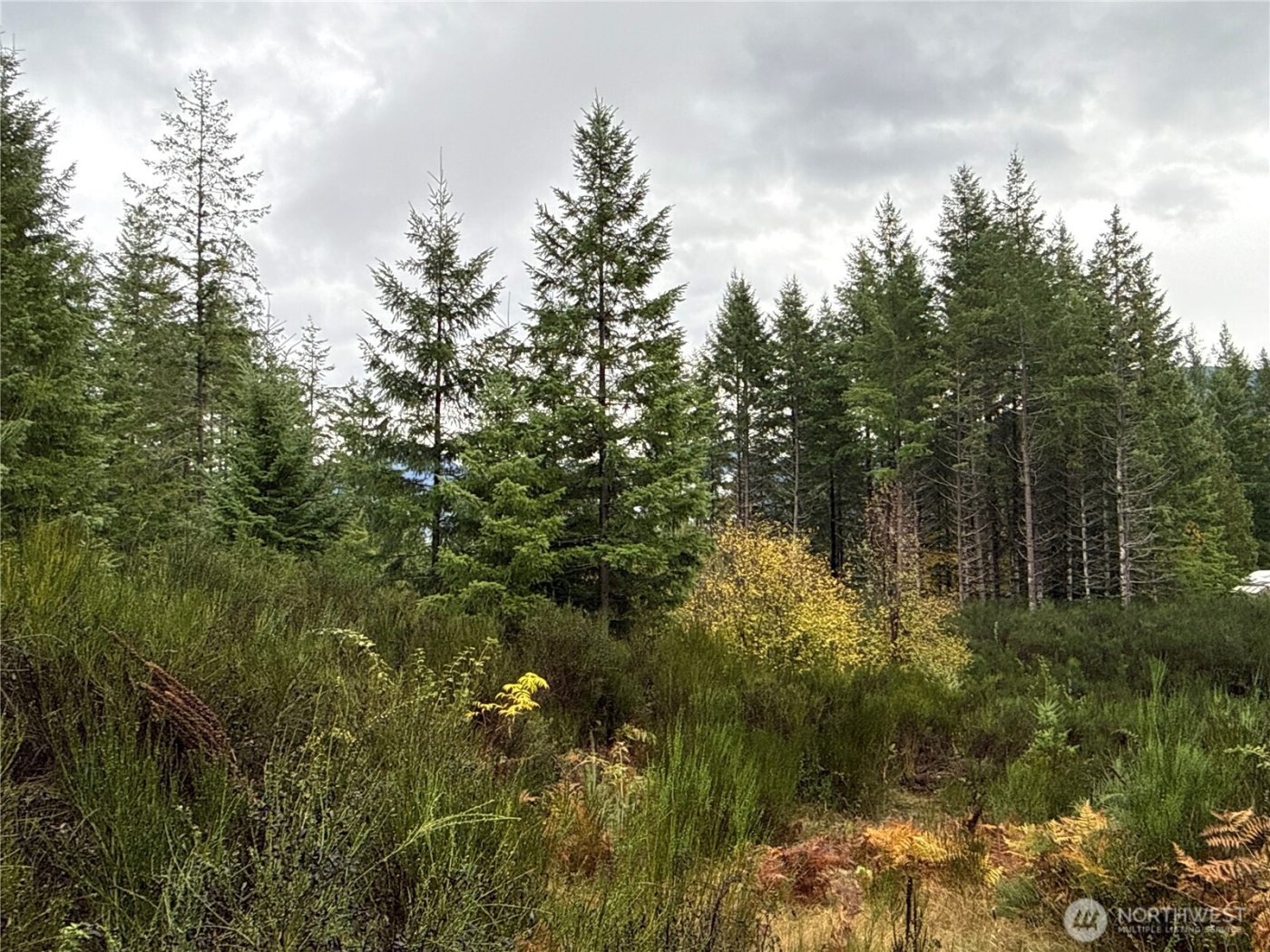 2 XX Forest Road 52 , Packwood, WA 98361