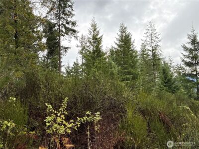 2 XX Forest Road 52 , Packwood, WA 98361 - Photo 17