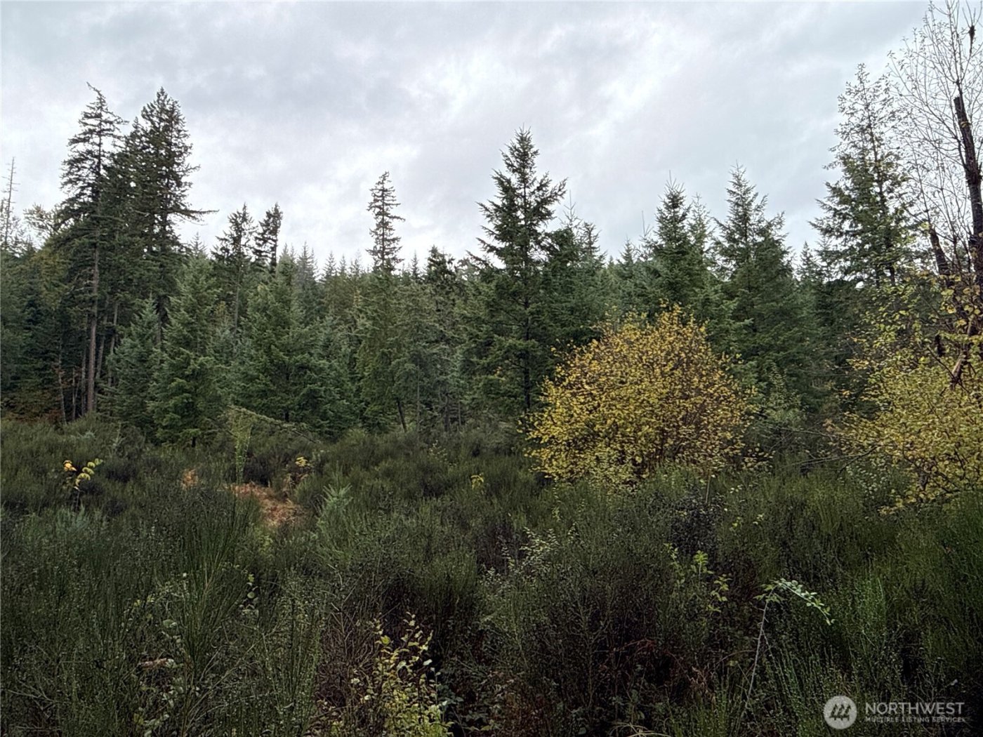 2 XX Forest Road 52 , Packwood, WA 98361