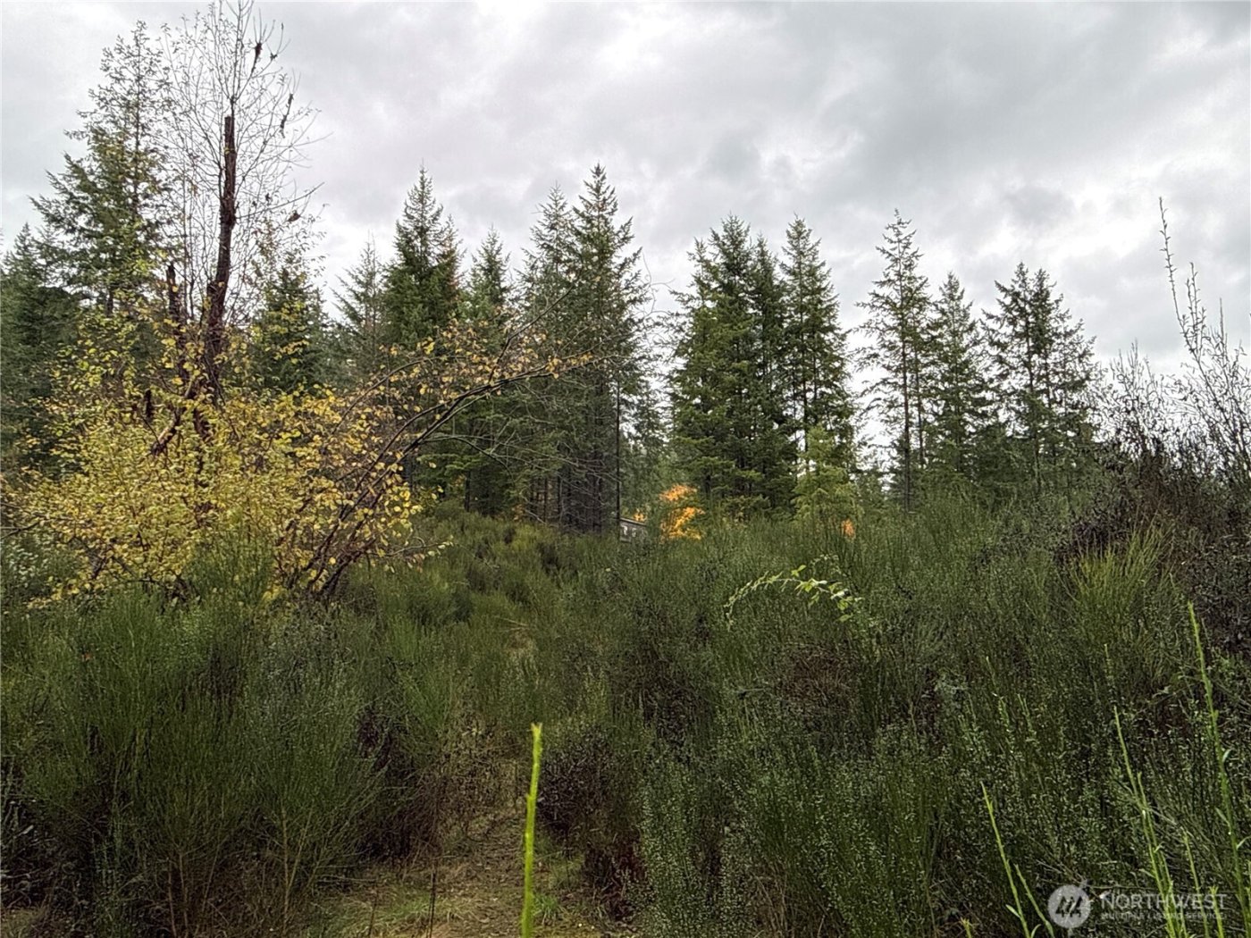 2 XX Forest Road 52 , Packwood, WA 98361