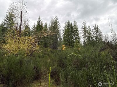 2 XX Forest Road 52 , Packwood, WA 98361 - Photo 21