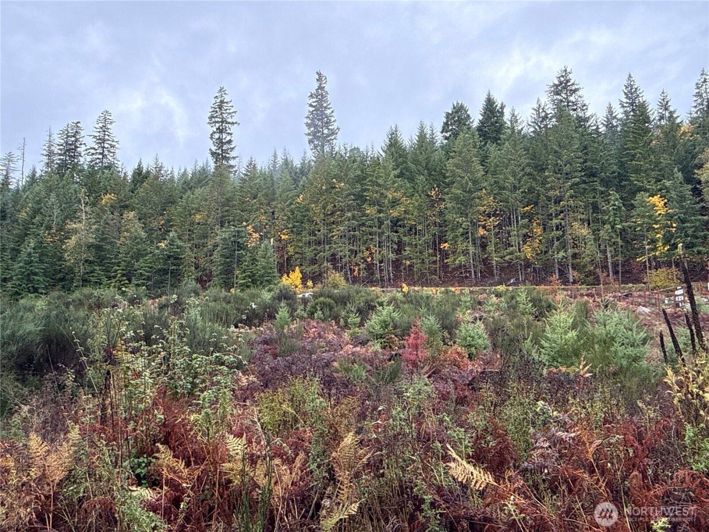 2 XX Forest Road 52 , Packwood, WA 98361