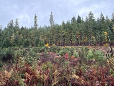 2 XX Forest Road 52 , Packwood, WA 98361 - Photo 22