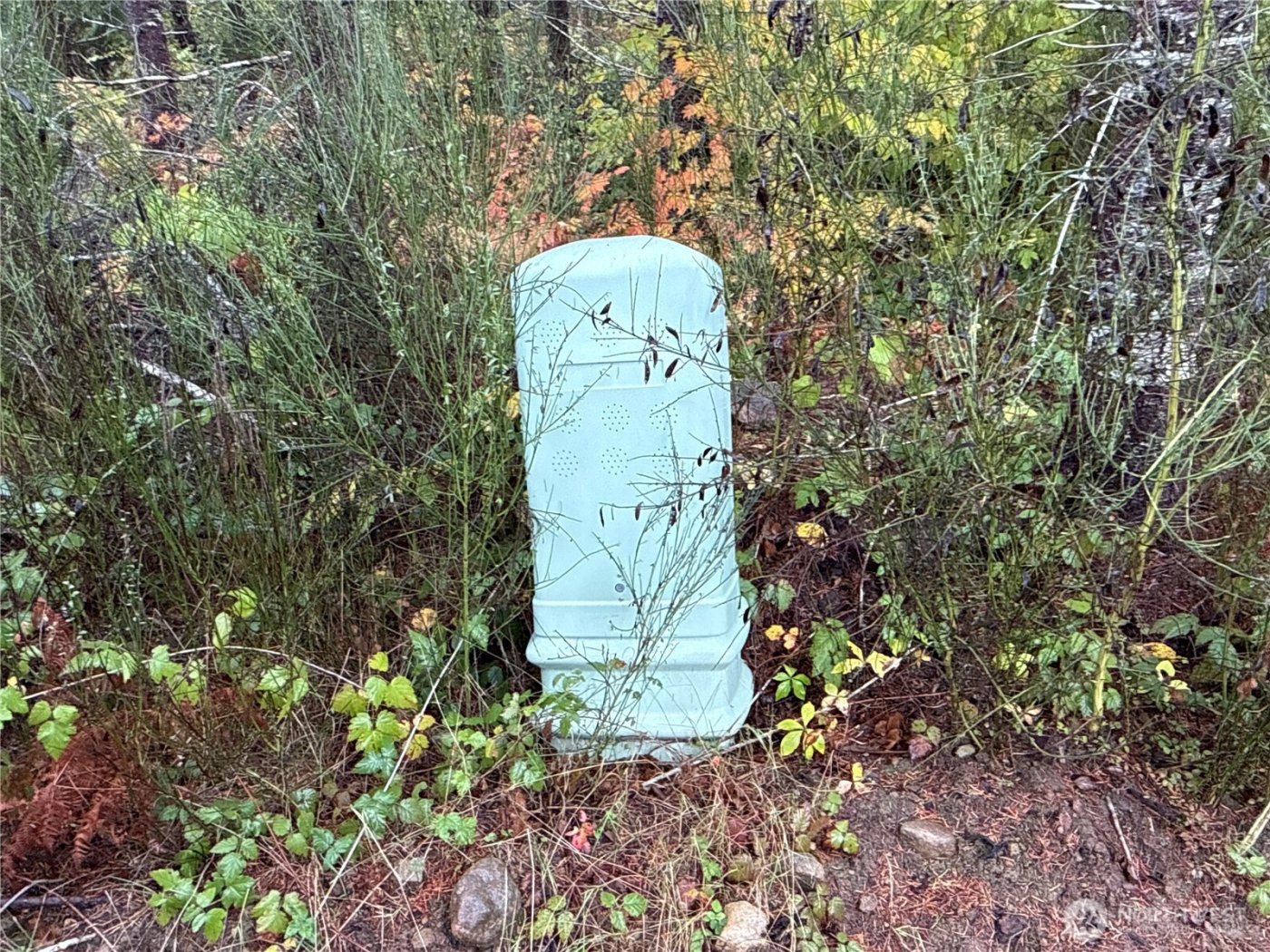 2 XX Forest Road 52 , Packwood, WA 98361