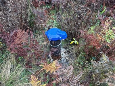 2 XX Forest Road 52 , Packwood, WA 98361 - Photo 24