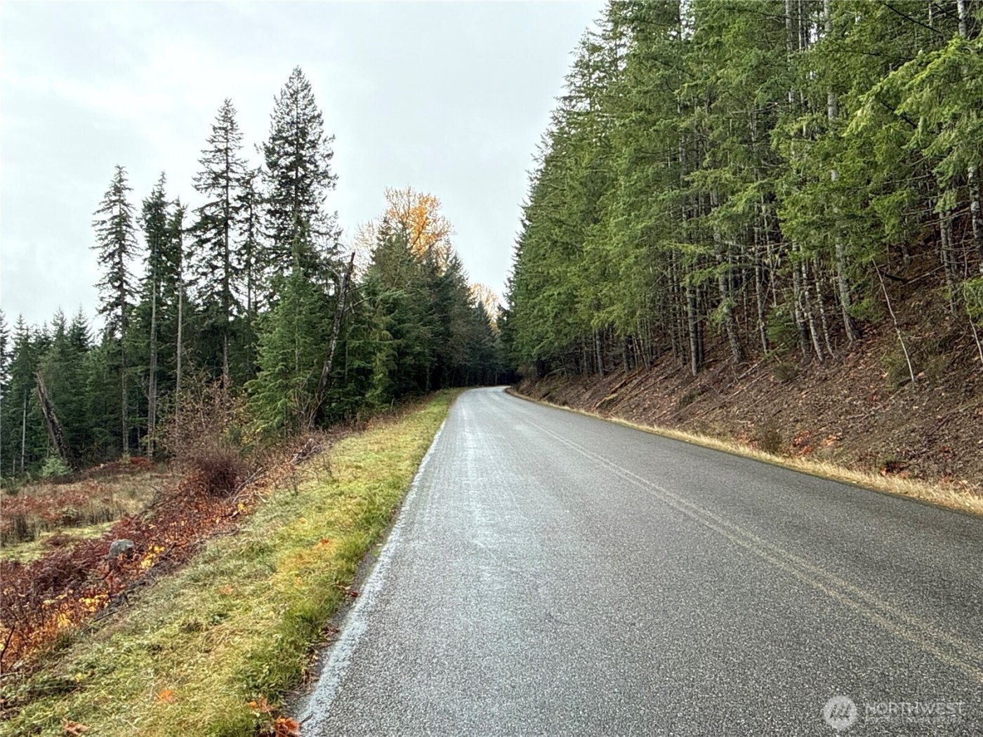 2 XX Forest Road 52 , Packwood, WA 98361