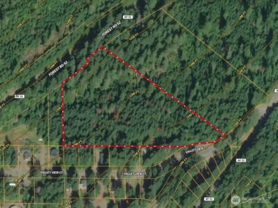 2 XX Forest Road 52 , Packwood, WA 98361 - Photo 27