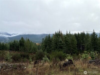 2 XX Forest Road 52 , Packwood, WA 98361 - Photo 3