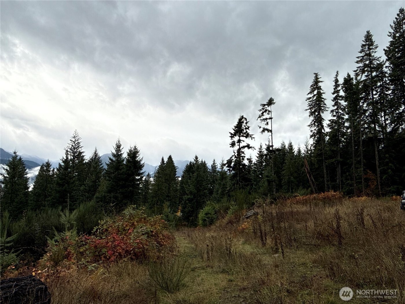 2 XX Forest Road 52 , Packwood, WA 98361