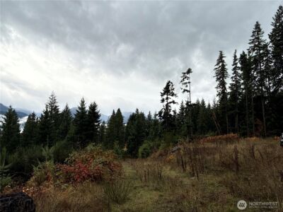 2 XX Forest Road 52 , Packwood, WA 98361 - Photo 4