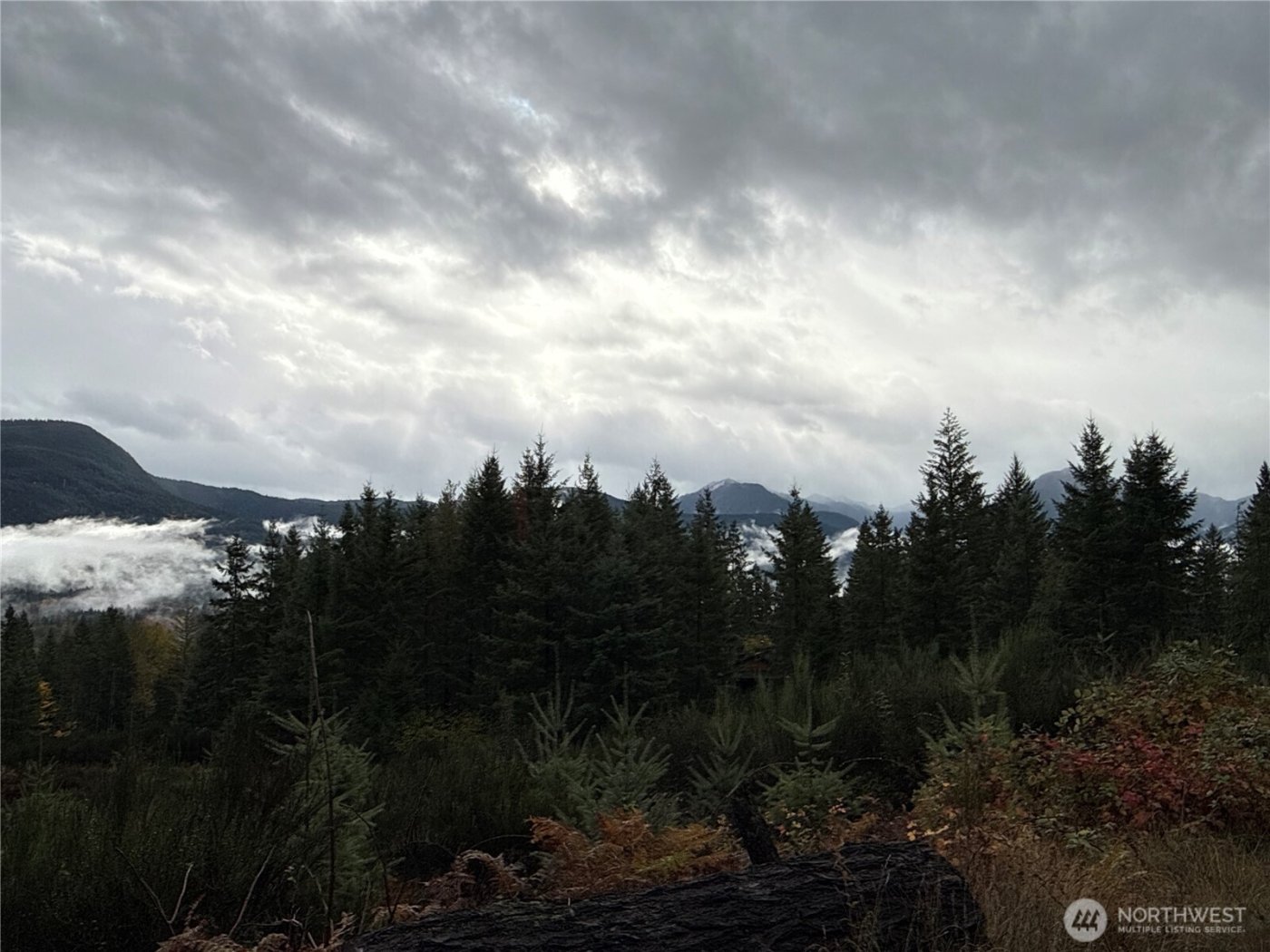 2 XX Forest Road 52 , Packwood, WA 98361