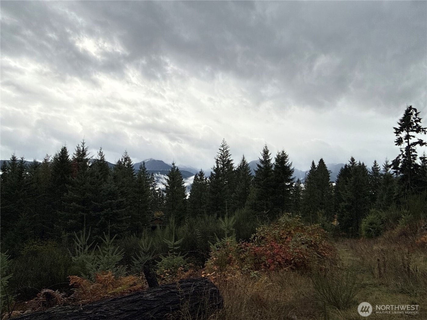 2 XX Forest Road 52 , Packwood, WA 98361