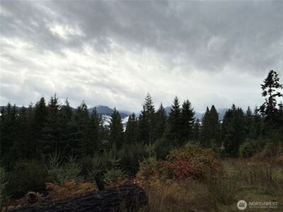 2 XX Forest Road 52 , Packwood, WA 98361 - Photo 7