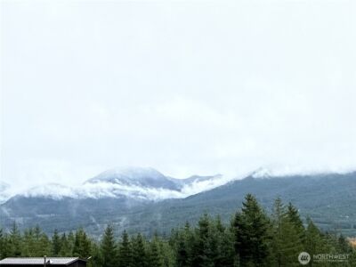 2 XX Forest Road 52 , Packwood, WA 98361 - Photo 8