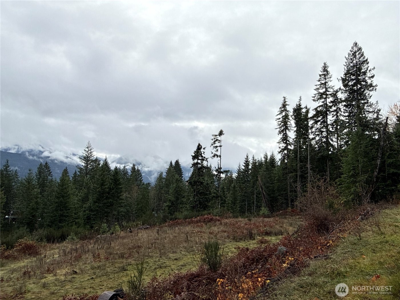 2 XX Forest Road 52 , Packwood, WA 98361