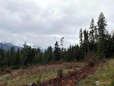 2 XX Forest Road 52 , Packwood, WA 98361 - Photo 9